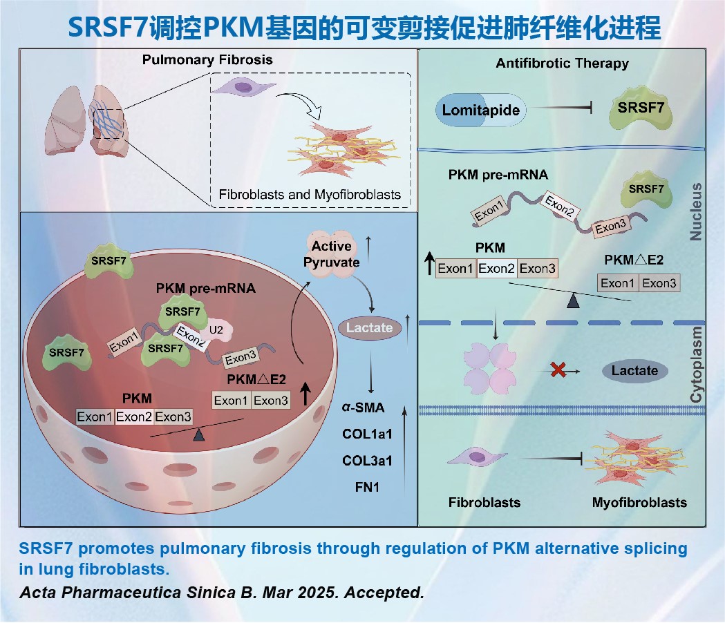 Example Image